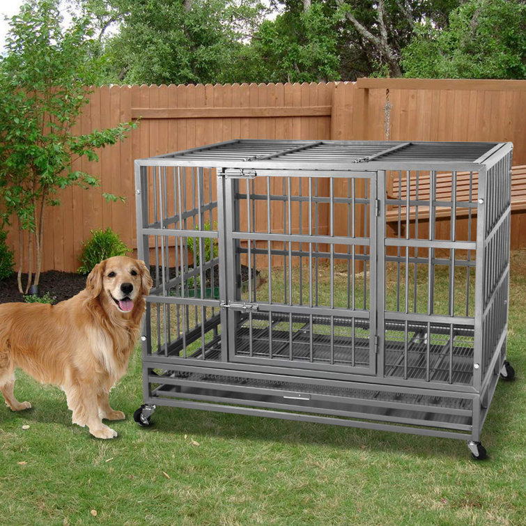 How Can I Keep My Dogs Crate Warm